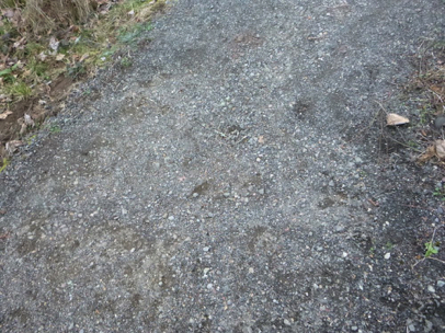 Access route from Sunnyside and Cedar Park access trails may have loose gravel
